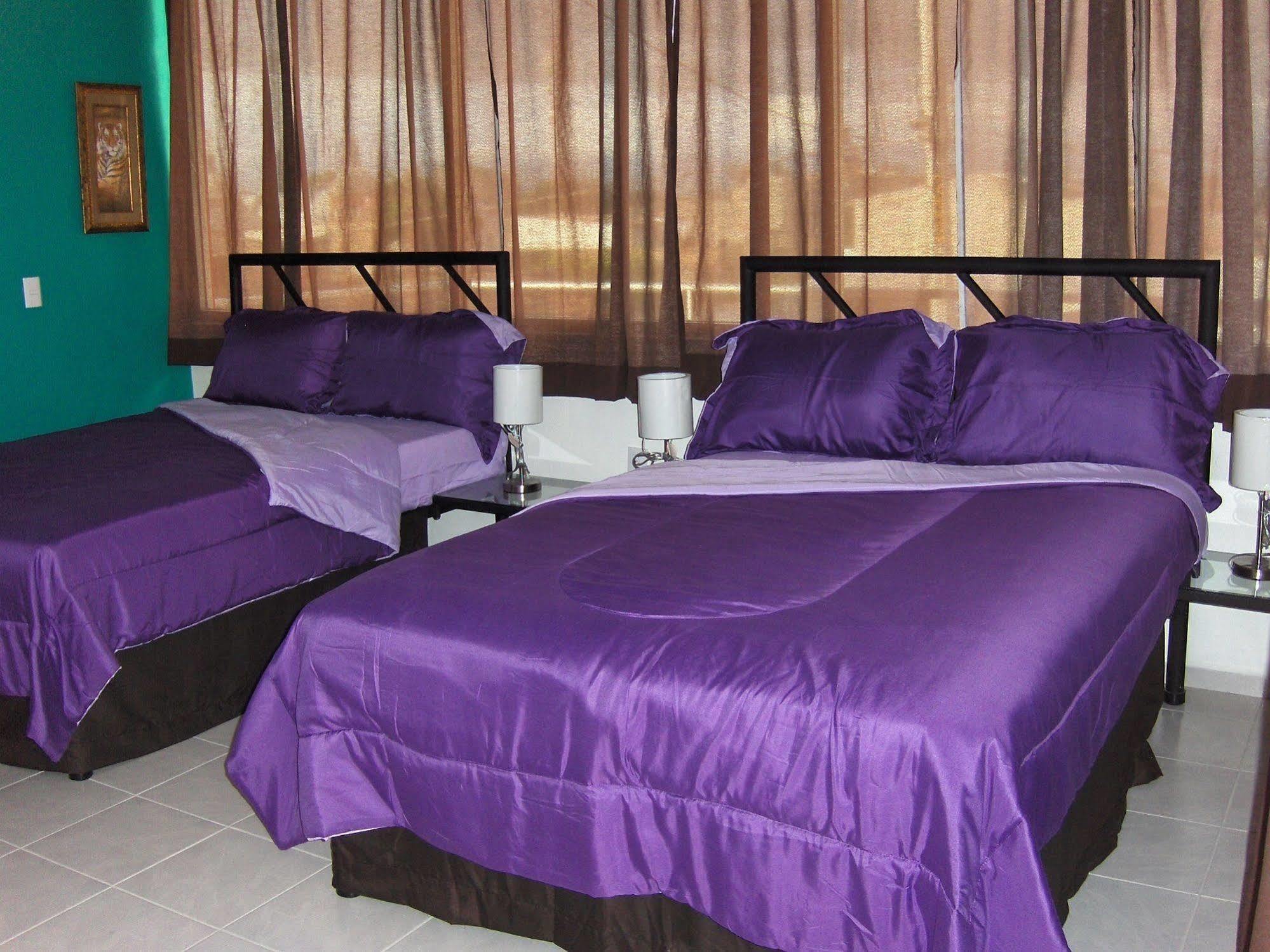 Hotel Plaza Providencia Ixtapa  Εξωτερικό φωτογραφία