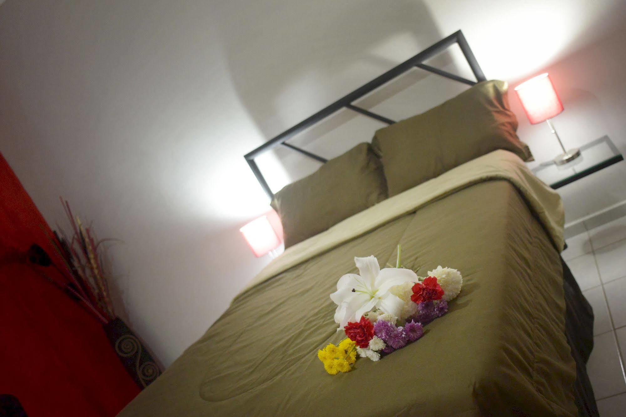 Hotel Plaza Providencia Ixtapa  Εξωτερικό φωτογραφία
