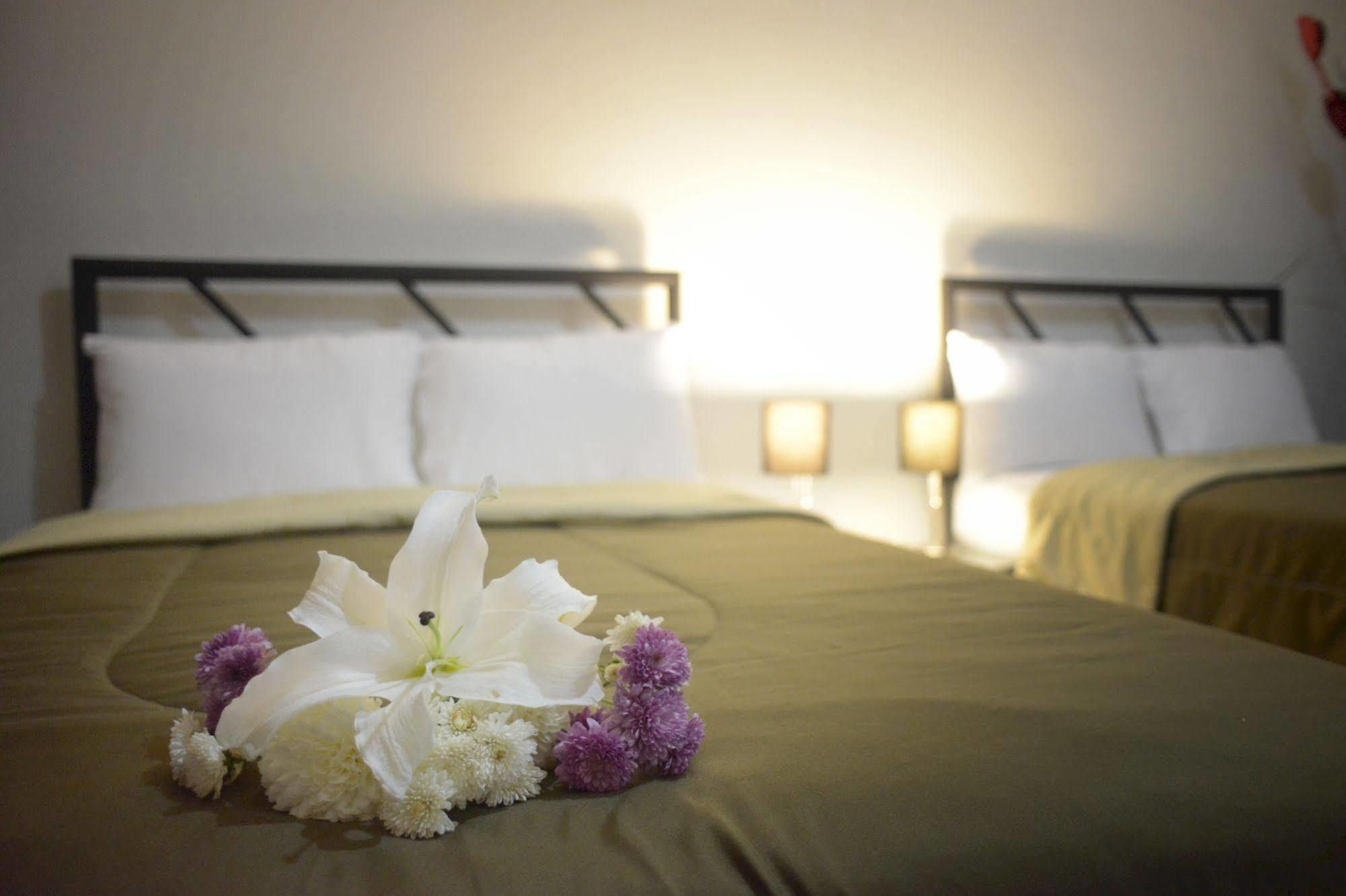 Hotel Plaza Providencia Ixtapa  Εξωτερικό φωτογραφία